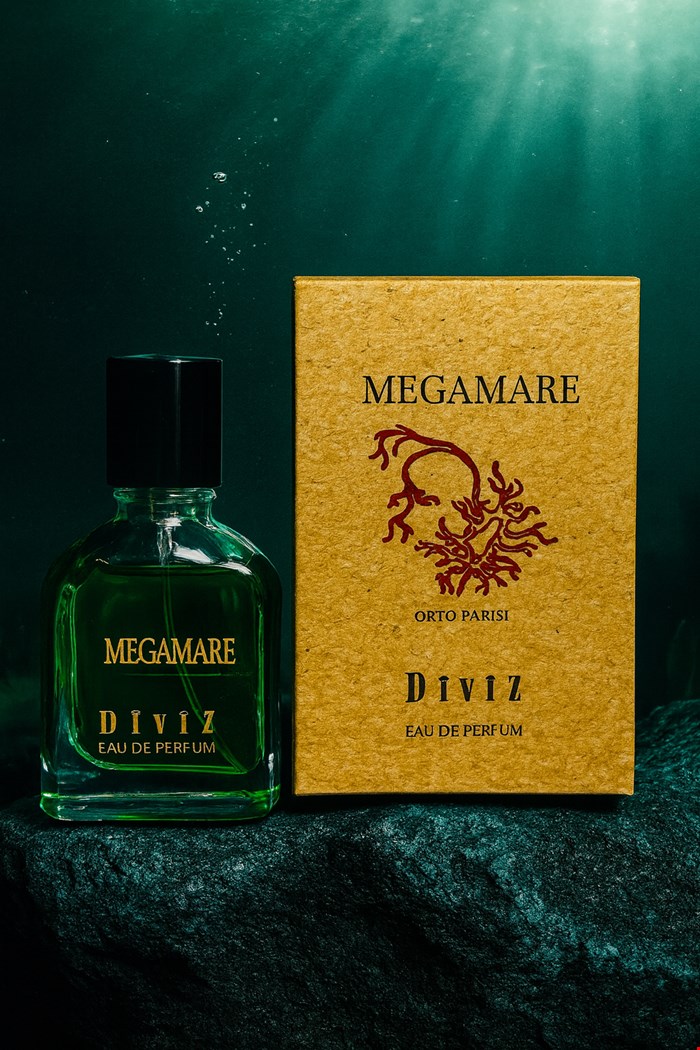 ادکلن مینی 30 میل دیوایز رایحه MEGAMARE
