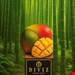 دیفیوزر خوش بو کننده هوا 100میل diviz رایحه Mango & Bomboo